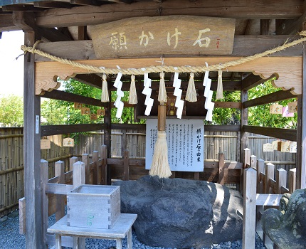 ���h�_��