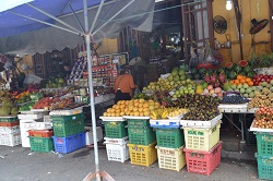 �z�C�A���U��