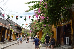 �z�C�A���U��