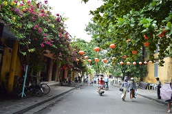 �z�C�A���U��