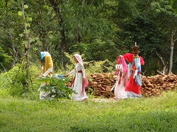 �~�[�\�����