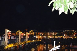 �z�C�A���i�C�g�}�[�P�b�g