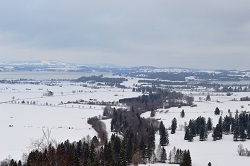 �m�C�V���o���V���^�C����