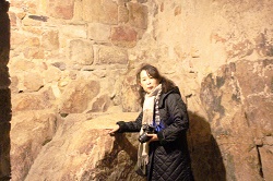 �����T���~�b�V�F��