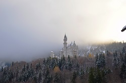 �m�C�V���o���V���^�C����