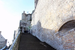 �����T���~�b�V�F��