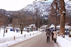 �m�C�V���o���V���^�C����