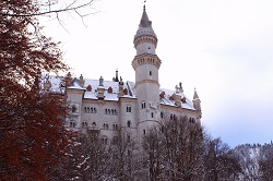 �m�C�V���o���V���^�C����