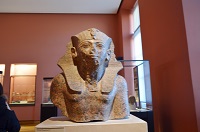 ���[�u�����p��