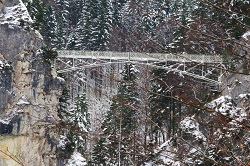 �m�C�V���o���V���^�C����