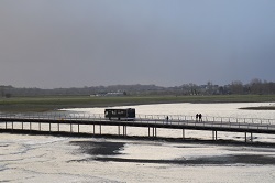 �����T���~�b�V�F��