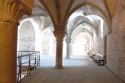 �����T���~�b�V�F��