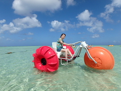 アルパンビーチ