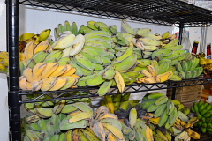 チョデチョモロべカリー