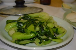 セン・サン 写真