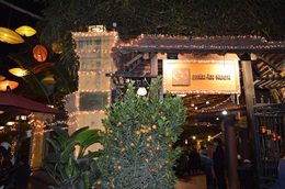 クアン・アン・ゴン 写真