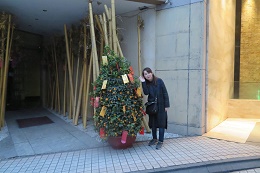 フルーツのタルト 写真