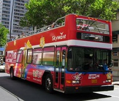 OLI�@OLI�X�J�C�E�F�[�u�Q�K���ăo�X