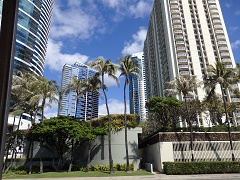 OLI�@OLI�X�J�C�E�F�[�u�Q�K���ăo�X