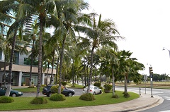 OLI�@OLI�X�J�C�E�F�[�u�Q�K���ăo�X