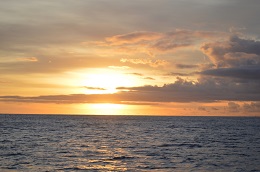 ディナークルーズ