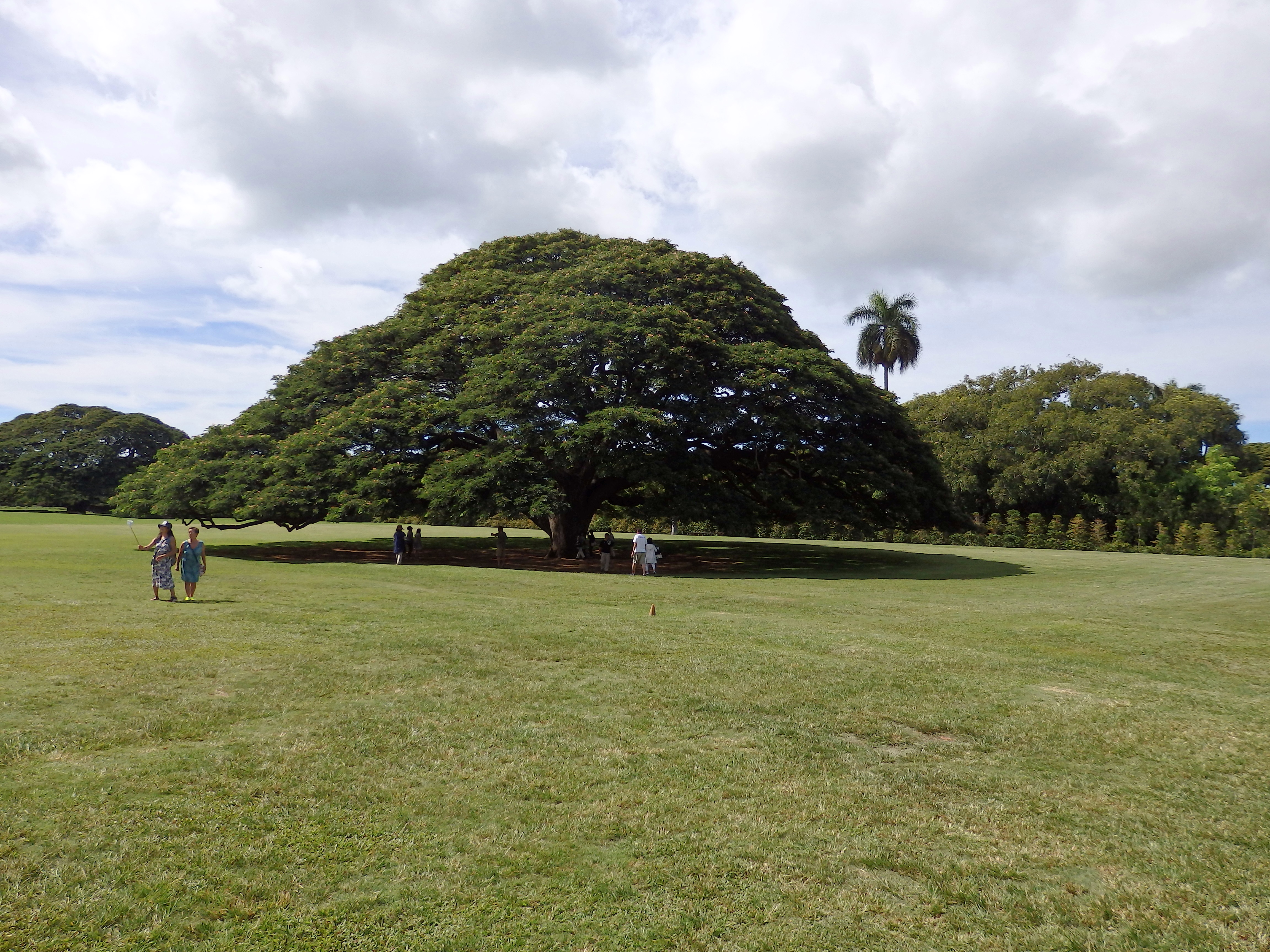 モアナルア・ガーデン