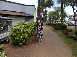 ハレイワタウン