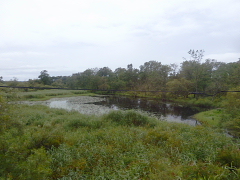 �m���b�R��