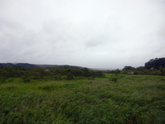 �m���b�R��