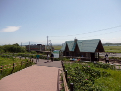 �����������ԉ�