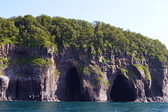 �I�[�����D