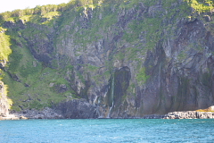 �I�[�����D