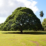 ガーベラとバラのリース 写真