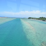 羊毛フェルトの洋梨 写真