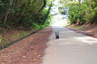 ���΂���