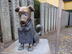 ����҂炳��