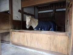 ����҂炳��