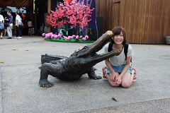 ナイトサファリー