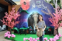 ナイトサファリー