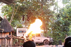 ナイトサファリー