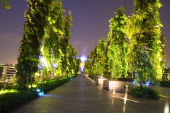 シンガポール夜景