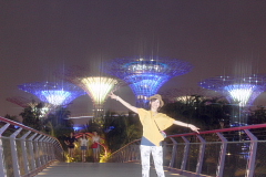 シンガポール夜景