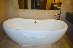 マリーナベイサンズホテル