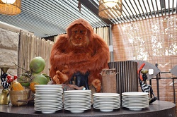 ジャングル・ブレックファースト