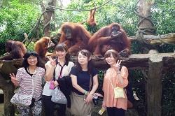 ジャングル・ブレックファースト