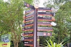 シンガポール動物園