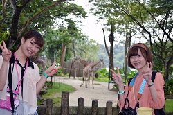 エレファント・ライド