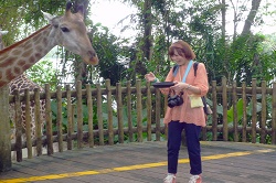 エレファント・ライド