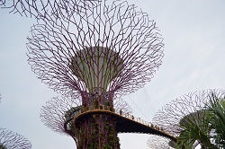 ガーデンズ・バイ・サ・ベイ