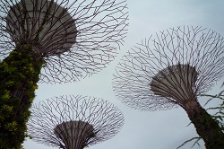 ガーデンズ・バイ・サ・ベイ